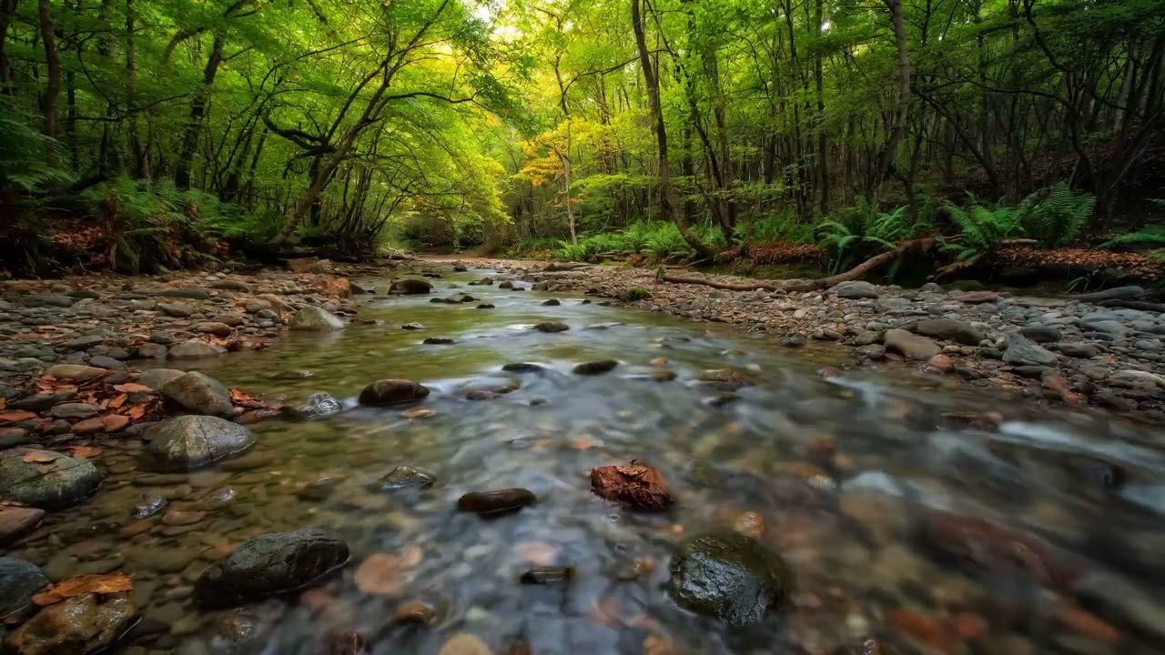 🤯 INSTANT CALM: 8 HOURS of Deep Relaxing Music for Stress Relief & Focus (Best Ambient Sleep Music)
