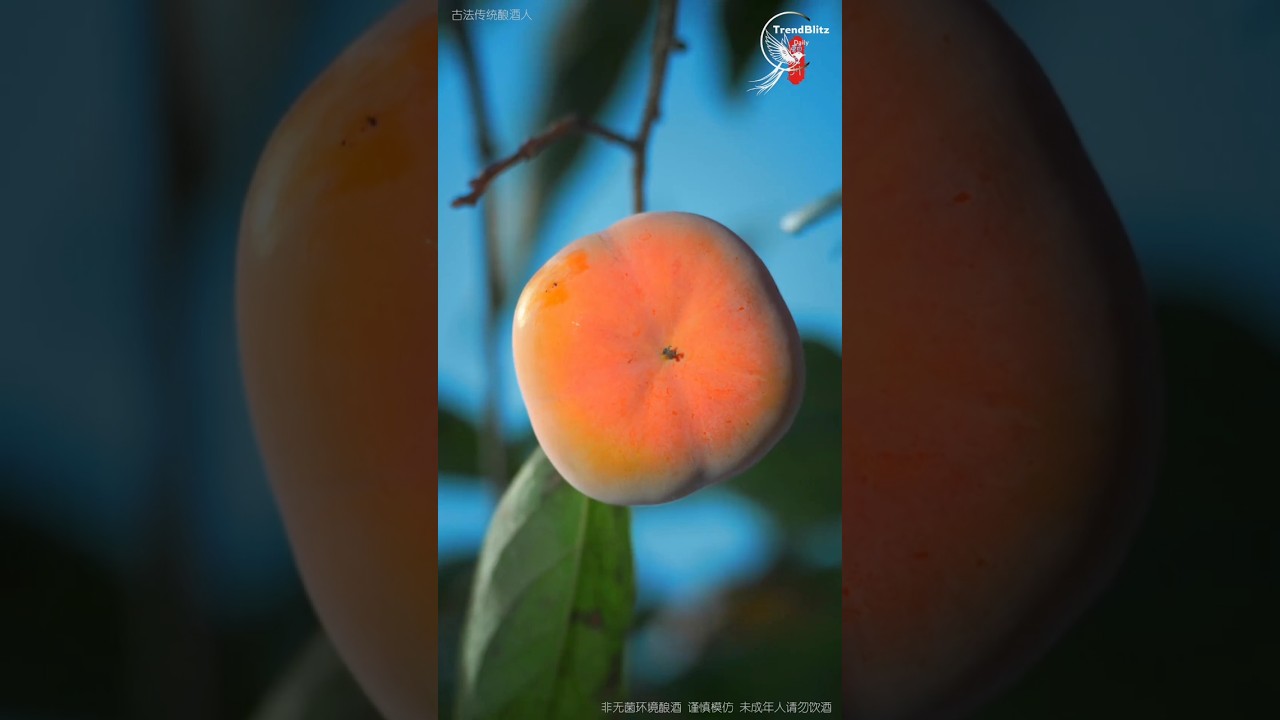 Homemade Persimmon Wine: Peaceful Village Life and Natural Fermentation at Its Best