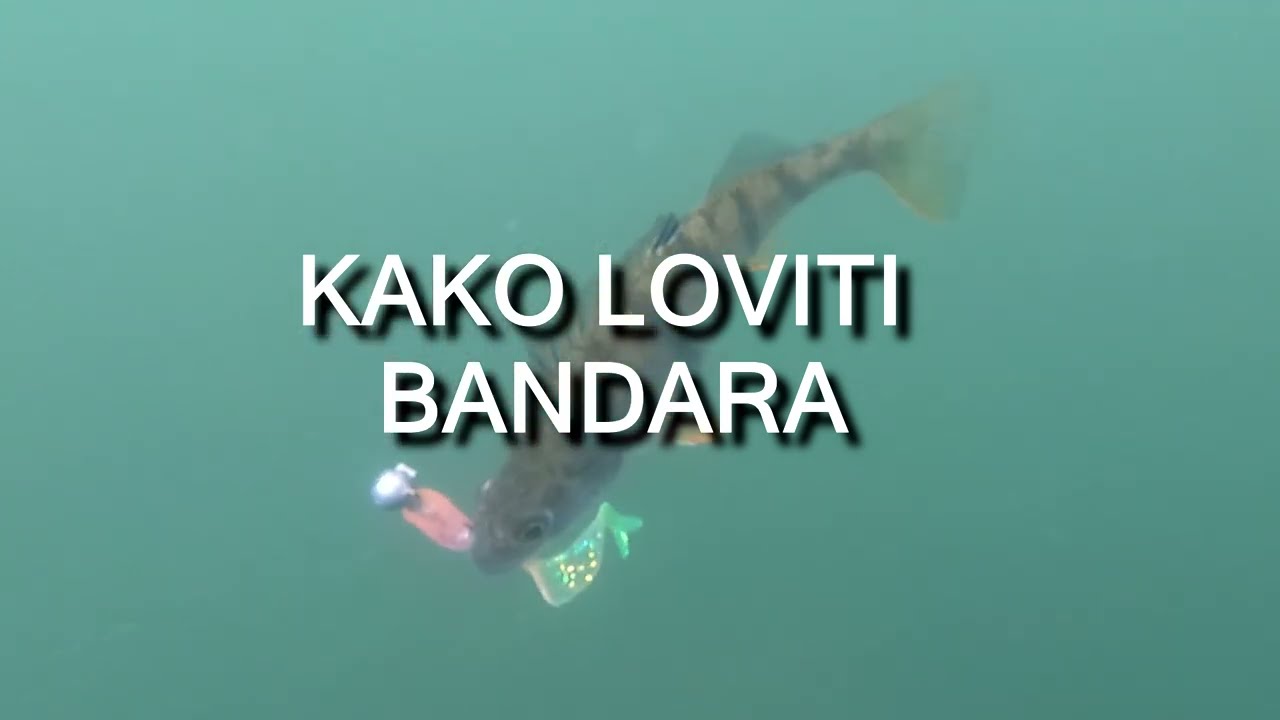 Kako loviti bandara