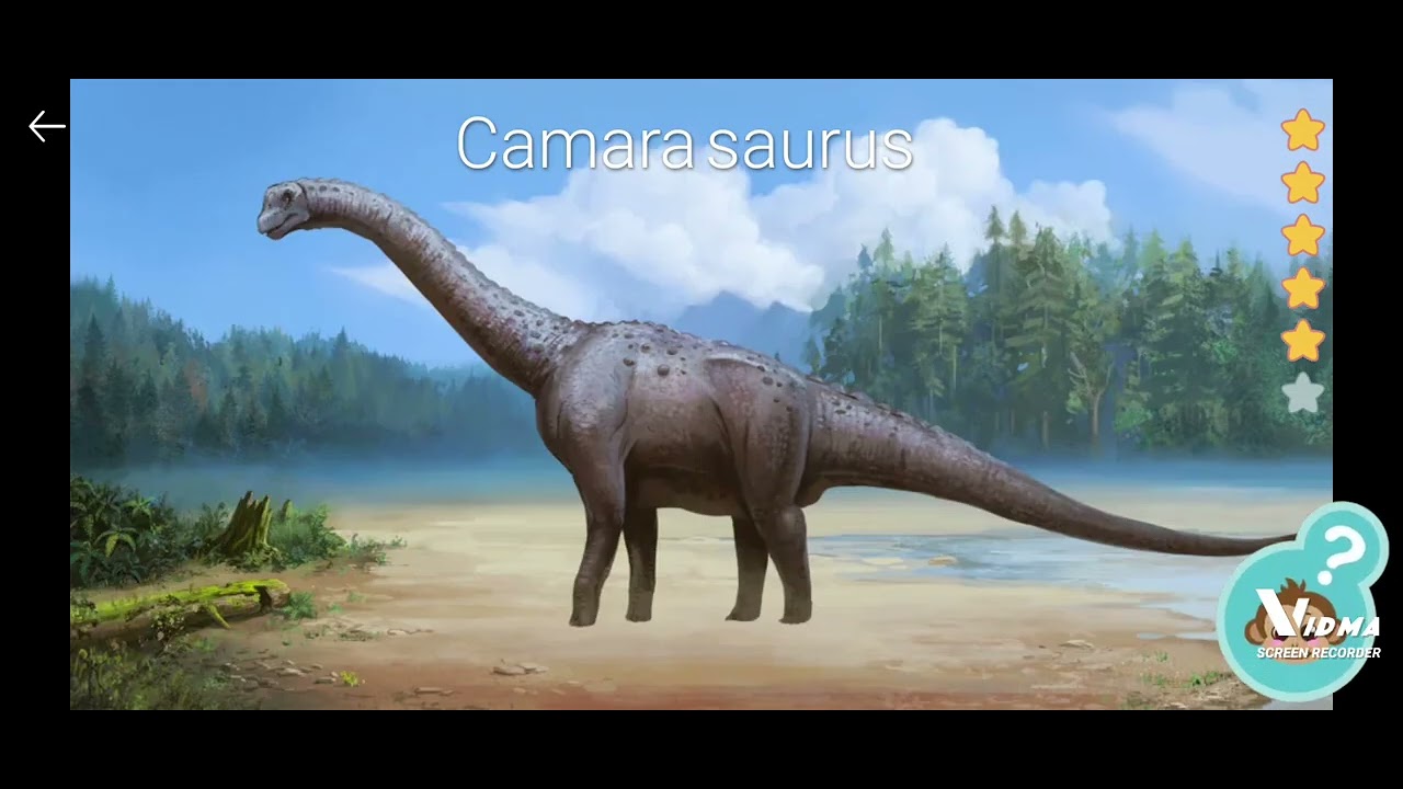 Asasassyetetetdgdhdhhdosurus