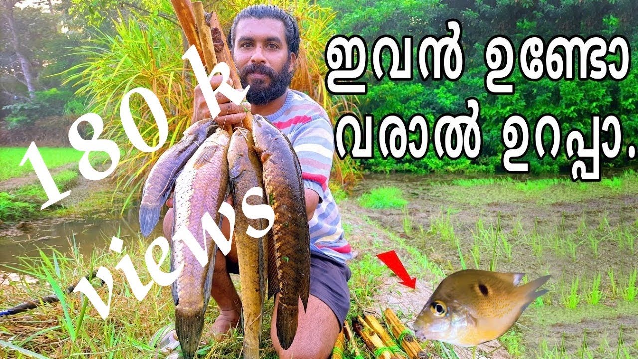 🐸ഫ്രോഗിൽ അടിക്കാത്തവന്മാരെ ഇങ്ങനേയും പിടിക്കാം ✌️✌️#mallu hunterz