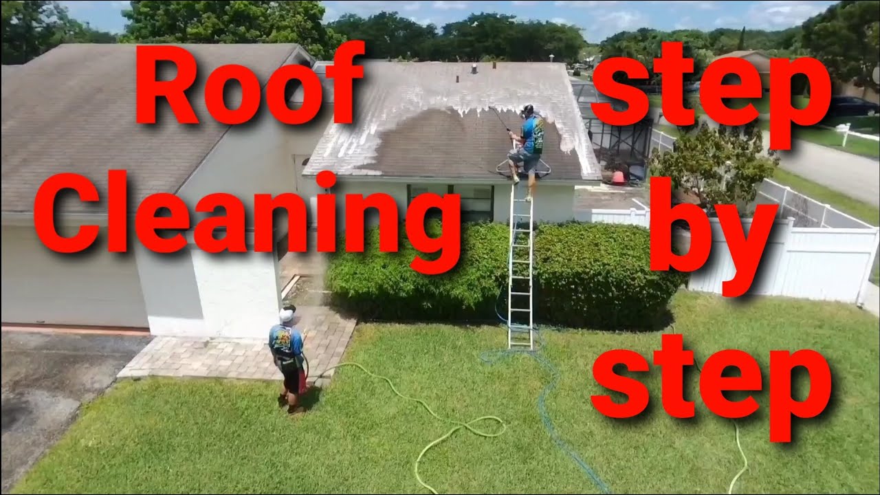 HOW TO CLEAN SHINGLE ROOF | Plant and Property Protection