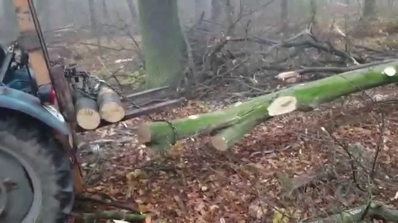 Bautz holzrücken