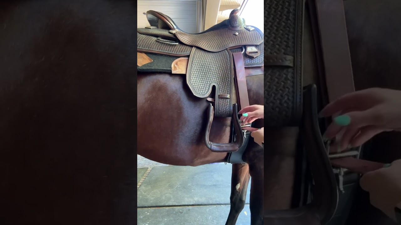 Western Cinch Tutorial #shorts #westernriding #equestrian #saddle #cinch #horseriding