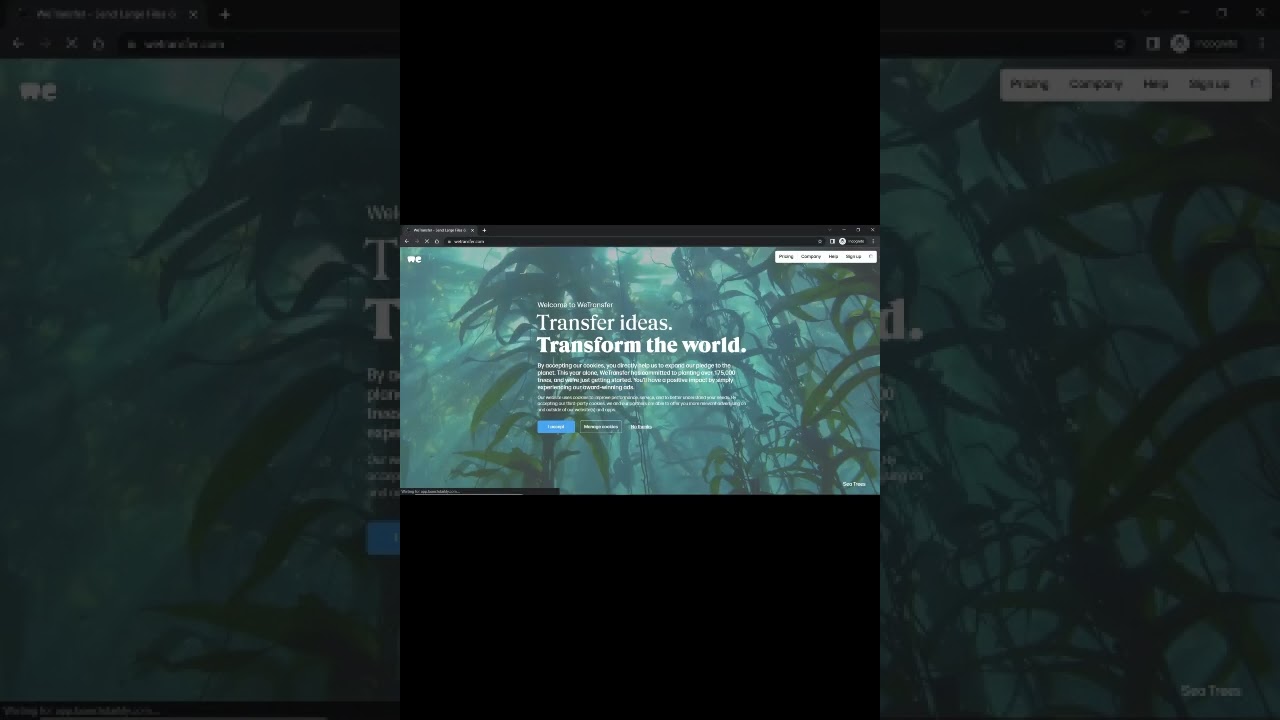 Best file transfer website #msbro