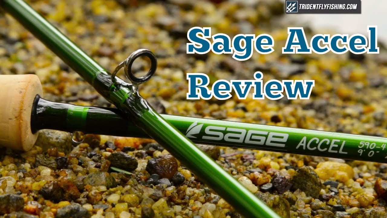 Sage Accel Fly Rod Review