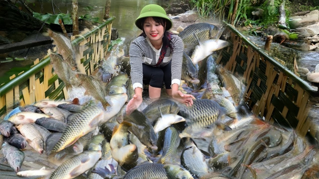 Weaving bamboo into giant traps to catch huge flocks of migrating stream fish when the flood comes