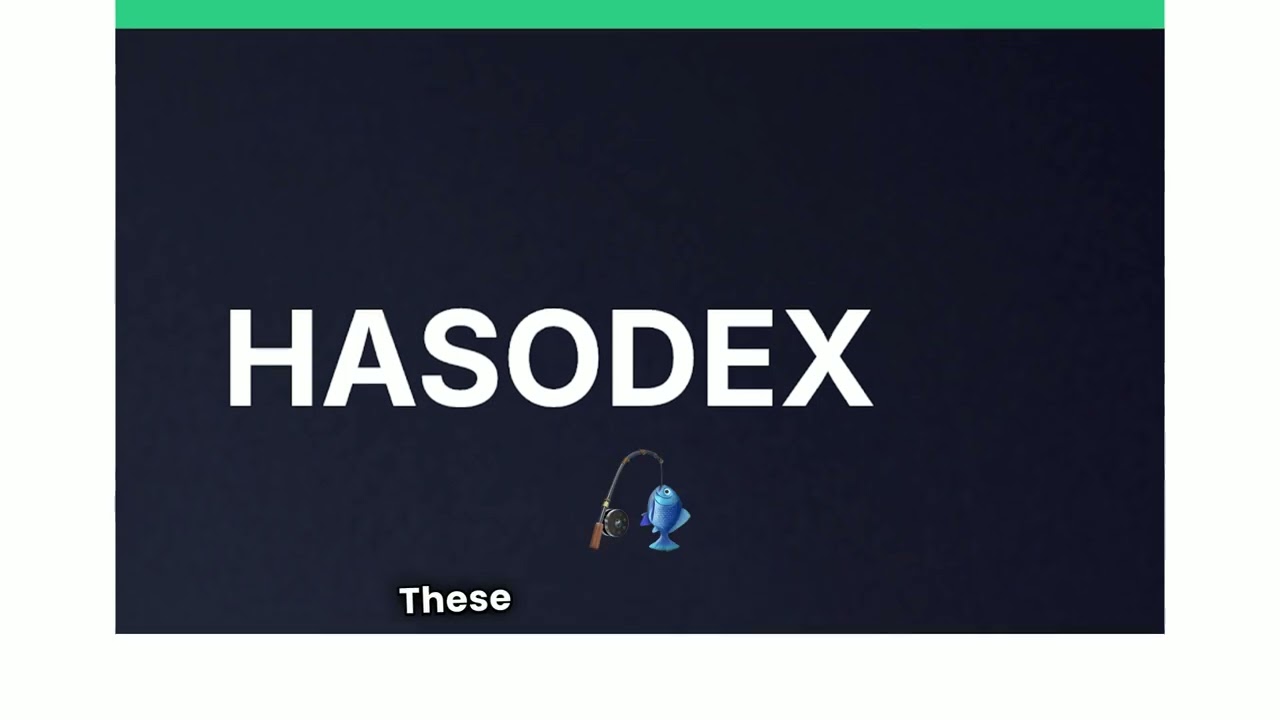Hasodex.Top Review, Hasodex Top Scam Or Legit, Protect Your Investments!