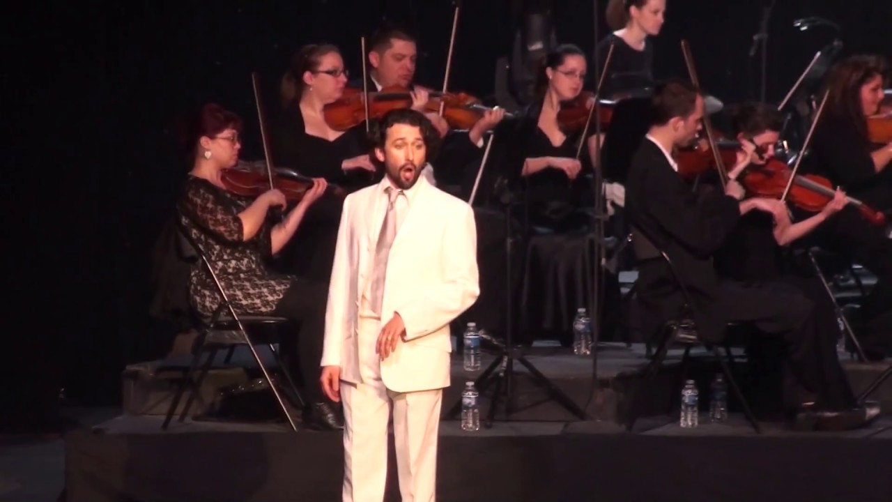 "Valses de Vienne" - Mathieu Sempéré