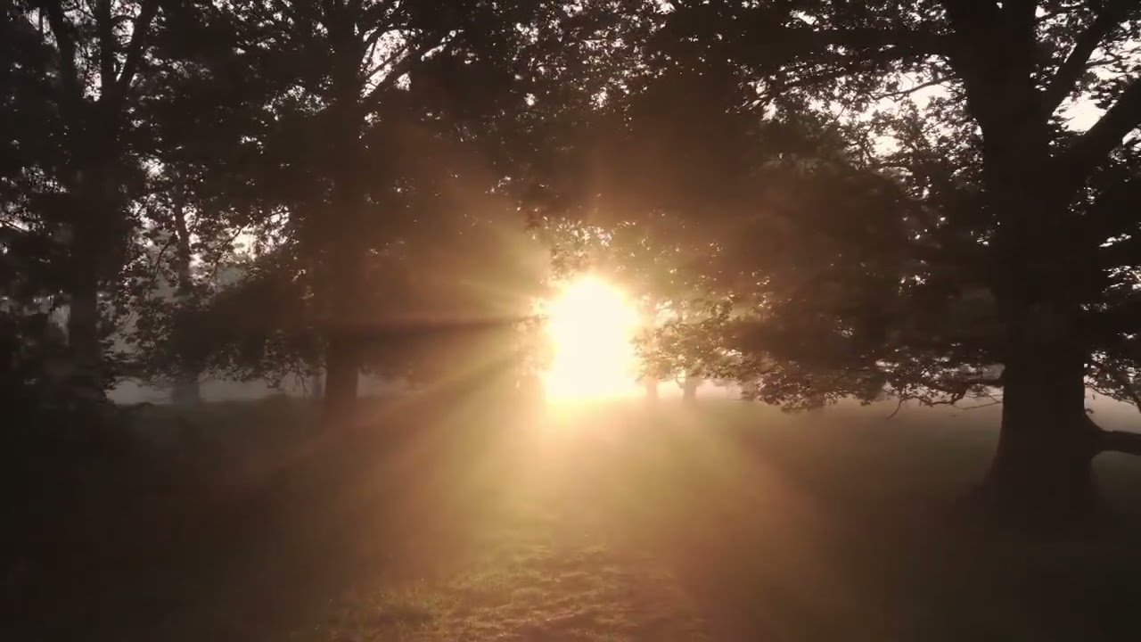 ❤️‍🔥 Misty Morning ❤️‍🔥