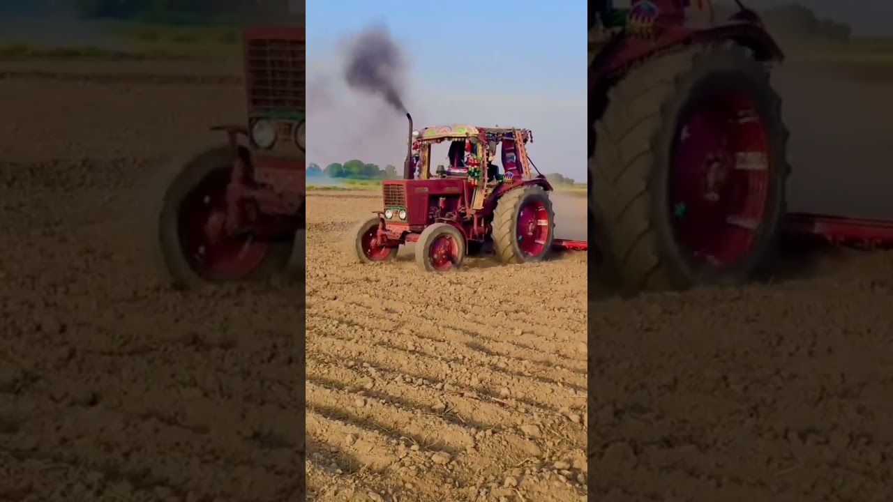 belarus 510 tractor working in field with cultivator #tractor #tractorcompetition #tractorpull