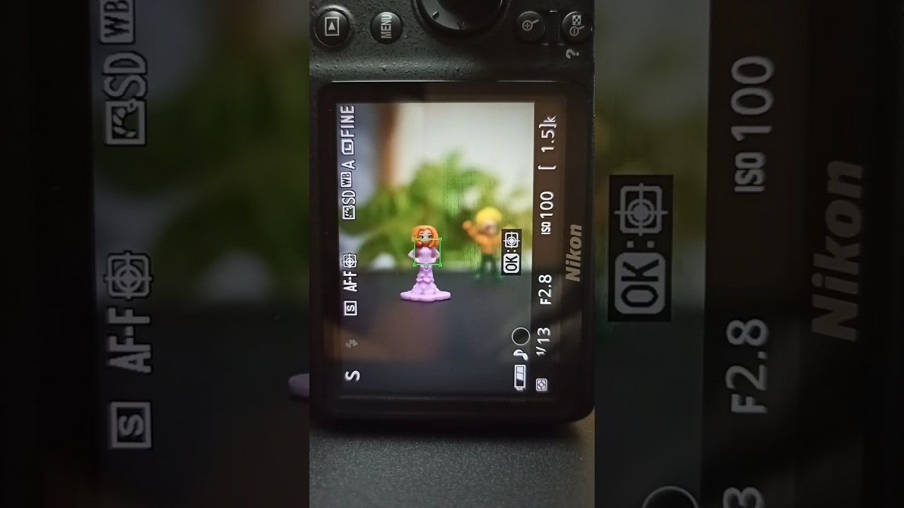 Nikon D3500 auto focus #shorts #dslr