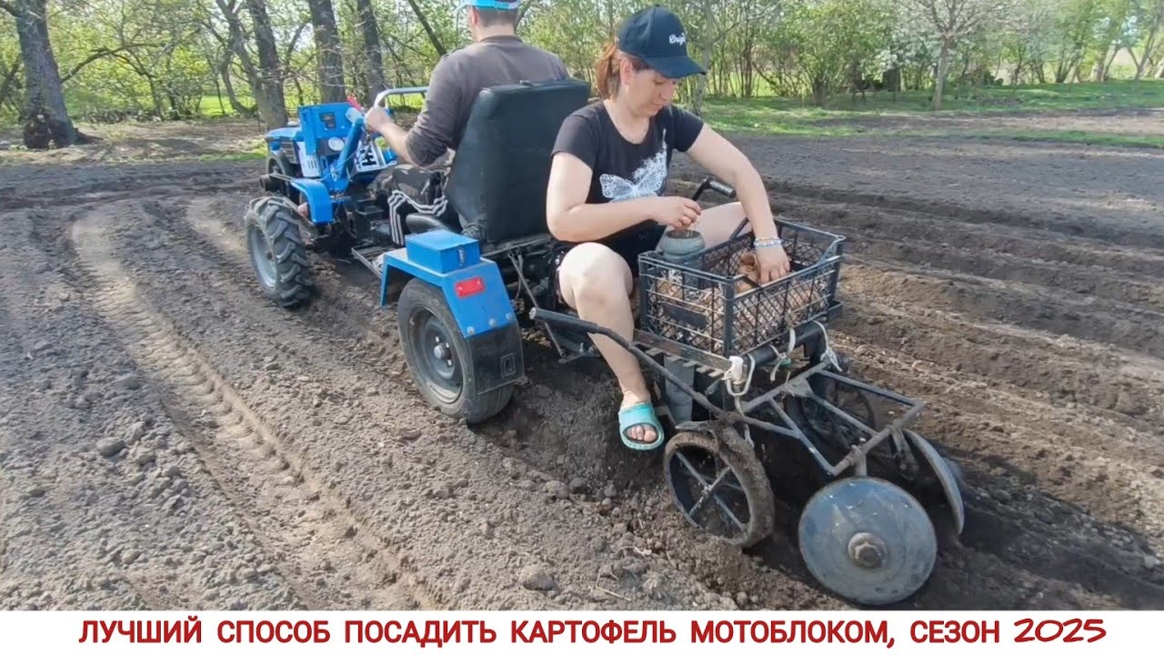 ЛУЧШИЙ СПОСОБ ПОСАДИТЬ КАРТОФЕЛЬ ,БЮДЖЕТНАЯ КАРТОФЕЛЕСАЖАЛКА СВОИМИ РУКАМИ / PLANTING POTATOES