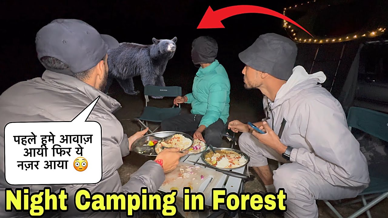 पहले इसकी आवाज़ आयी Overnight Camping in Wild Forest of Gool Ramban Jammu Kashmir | Camping in India