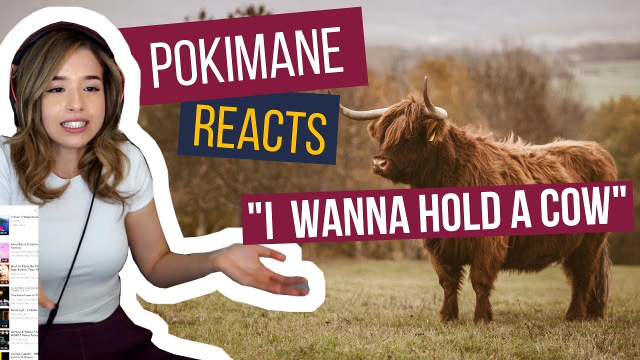 Pokimane Reacts to Daily Dose of Internet! She loves animals | Zone