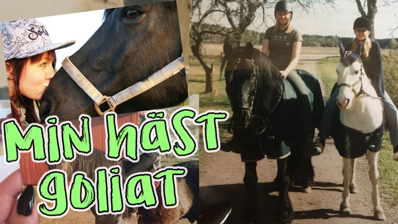🐴 Min första häst Goliat - Storytime