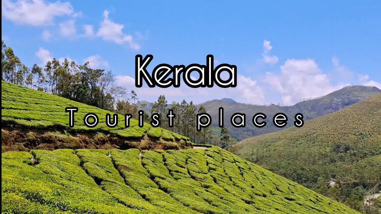 Kerala Tour Vlog | Kochi to Munnar | Thekkady Jungle Safari | Alleppey Backwater Boating 