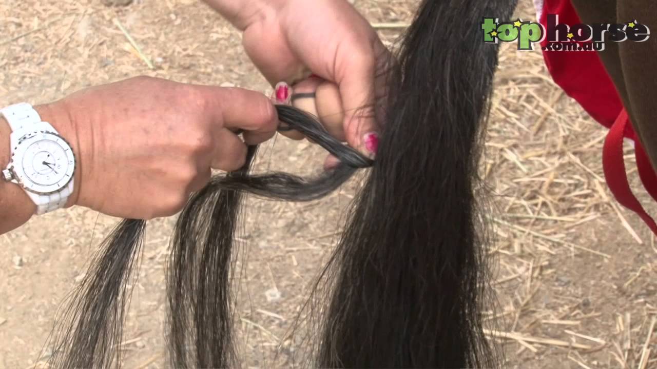 False tail - How to attach a false tail to your horse.