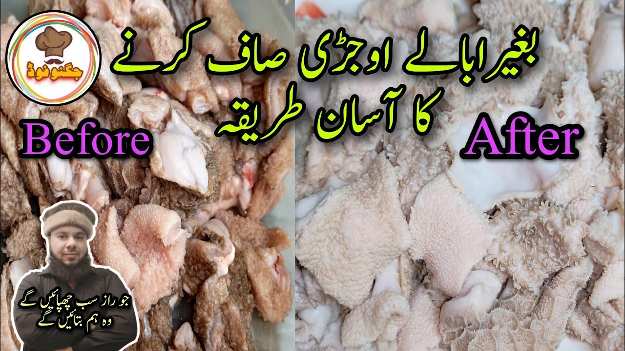 Ojeri saf karnay ka tareka by jugnoo food | easy method to clean ojeri
