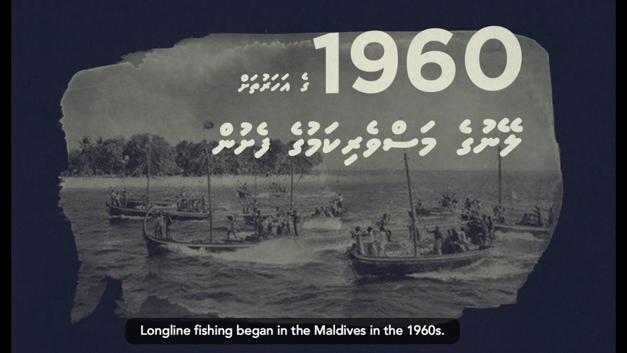 Himaayathuge Himaayathugaa - Defending Protection [Shark Ban History]