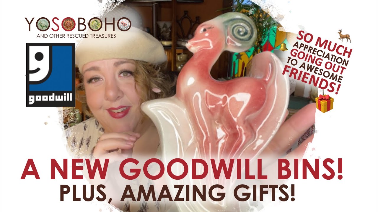 🫶 BIG GIFTS & A BRAND NEW GOODWILL BINS! 🛒 THRIFT GOODWILL BINS WITH US!