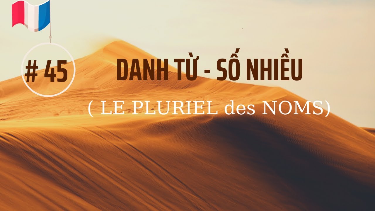# 45 - DANH TỪ - SỐ NHIỀU ( LE PLURIEL des NOMS)