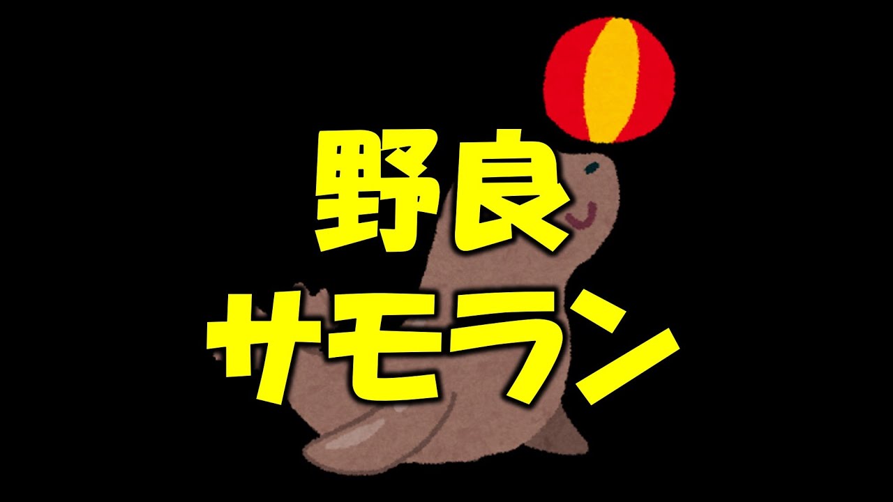 【スプラ3】夜遅くにひっそりと野良で1オカシラ…【サモラン】