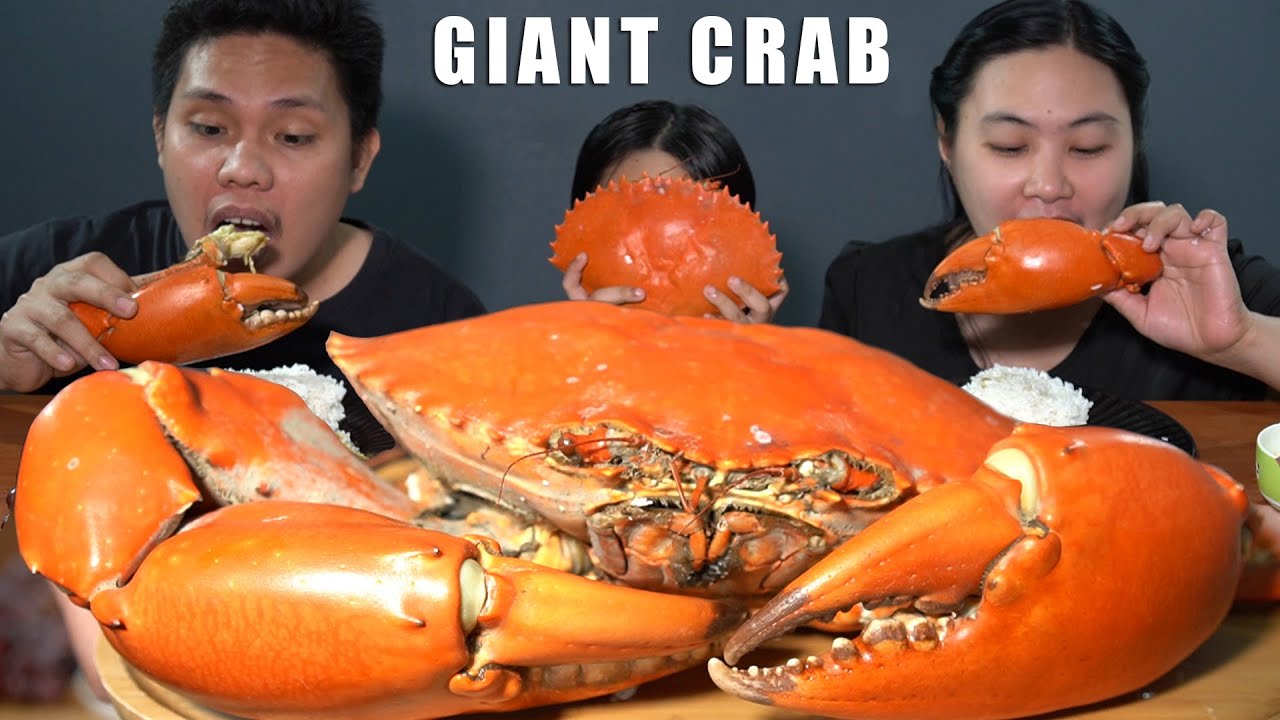 Outdoor Cooking Giant Mud Crab (Alimango) + Mukbang