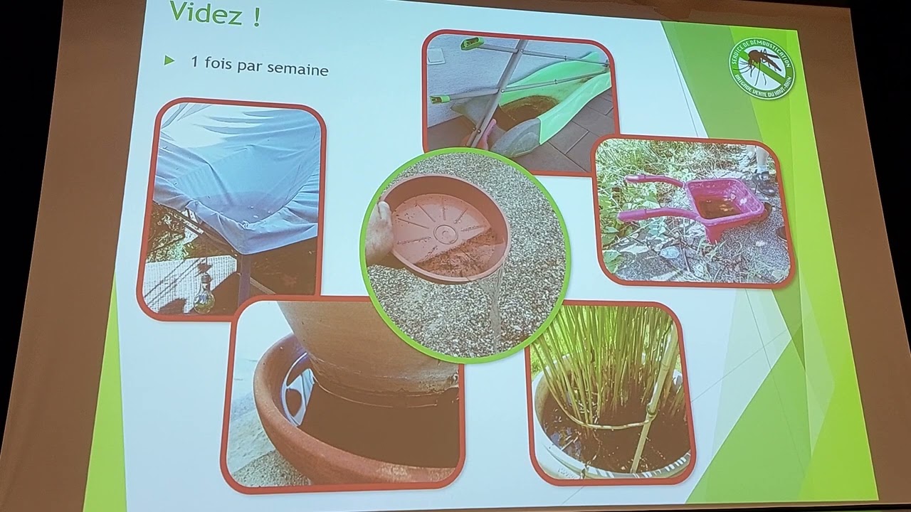 Soirée d' information sur le moustique tigre