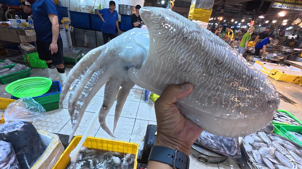 chợ cá vô nước đồ nhiều quá rẻ đồ ngon không