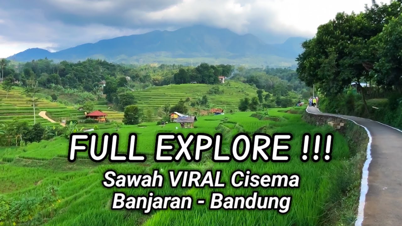 Explore Sawah VIRAL Cisema Banjaran Kabupaten Bandung