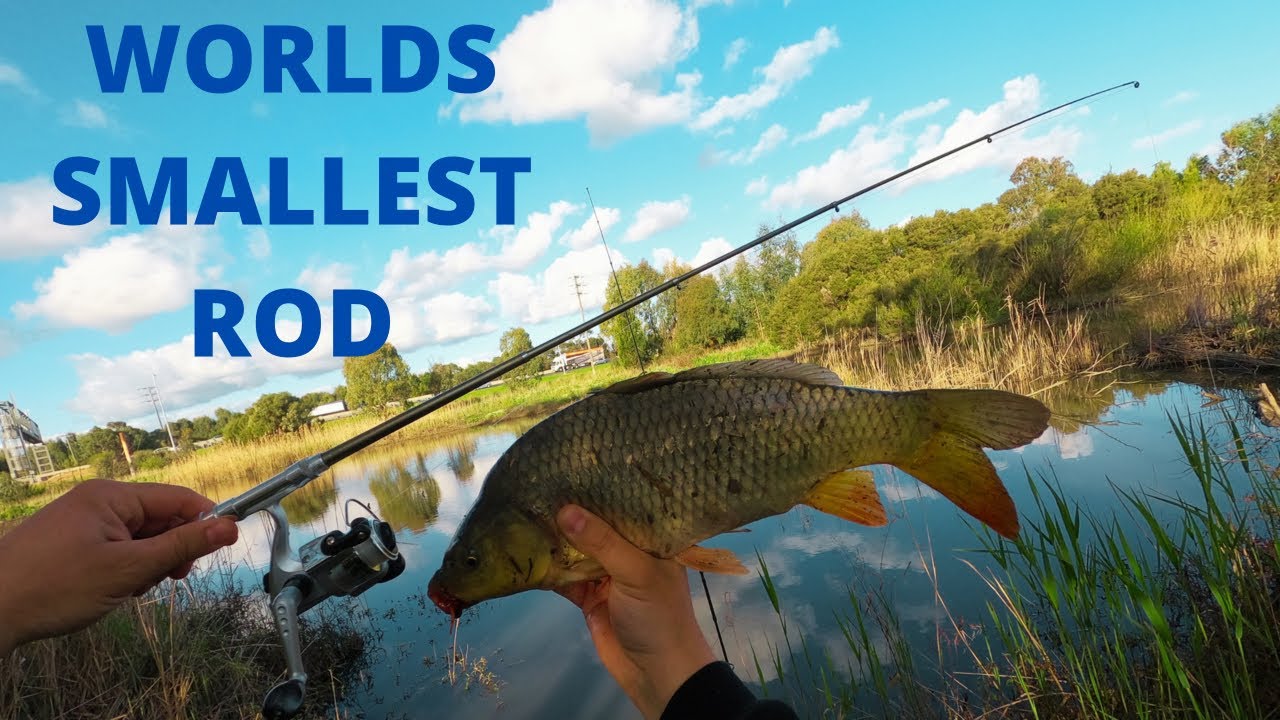 WORLDS SMALLEST FISHING ROD CHALLENGE