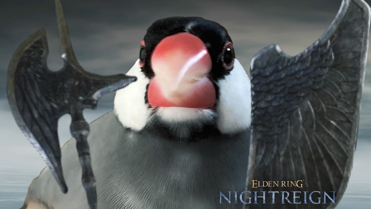 【初心者/steam版】リハビリなのだ！【ELDEN RING NIGHTREIGN】