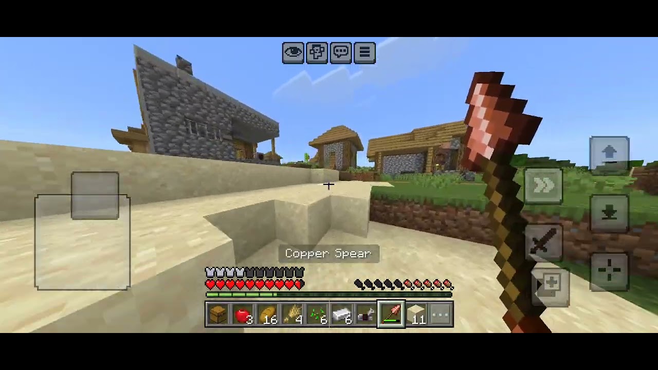 My survival world Day1