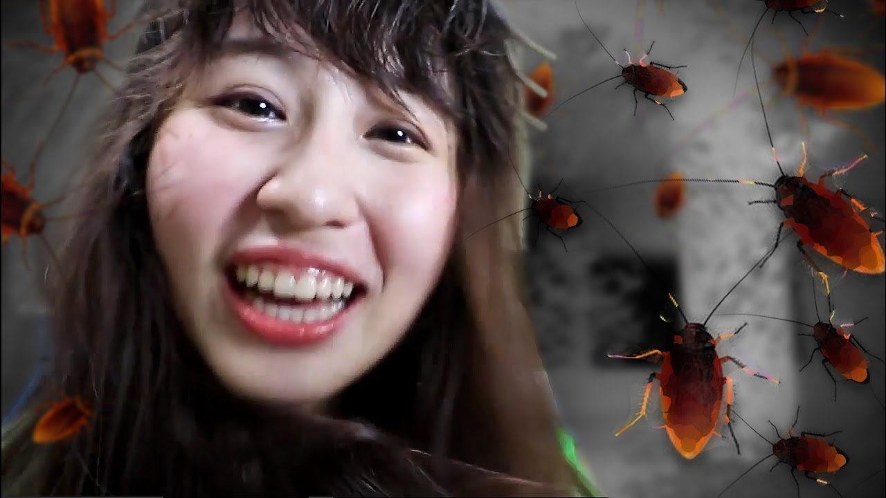 ต่อสู้กับกองทัพแมลงสาบ (VR) ☀ Flighting Cockroach ☀ | Sunbeary