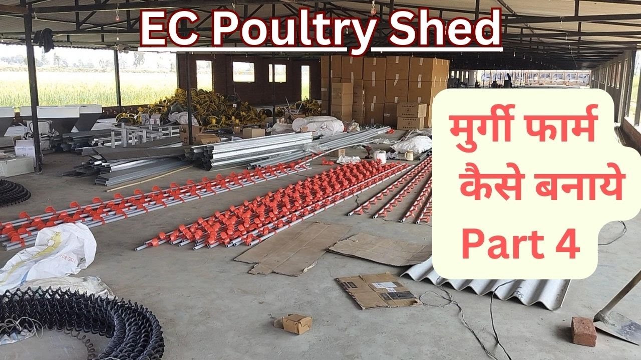 EC FARM CONSTRUCTION | मुर्गी फार्म कैसे बनवाये  | Part 4 #ecfarming