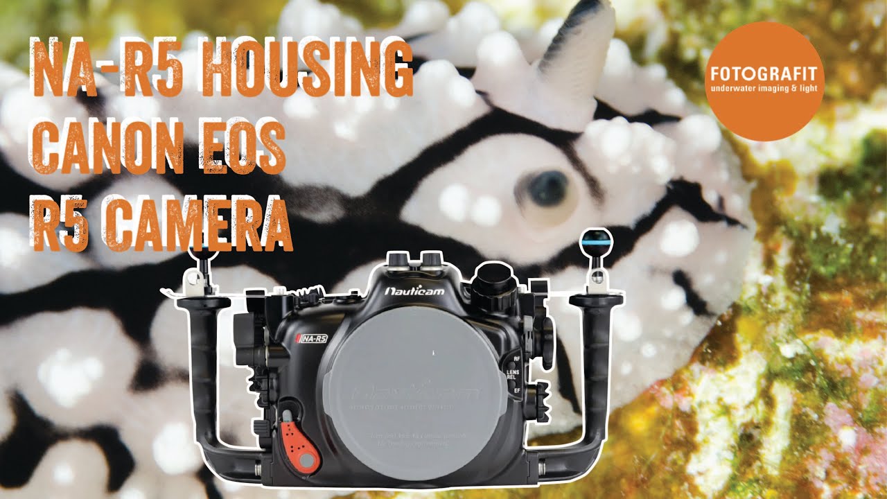 Diving the Nauticam housing Canon R5 - Chat and diving