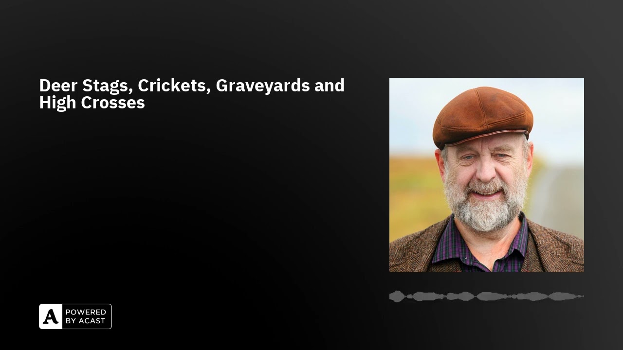 Deer Stags, Crickets, Graveyards and High Crosses