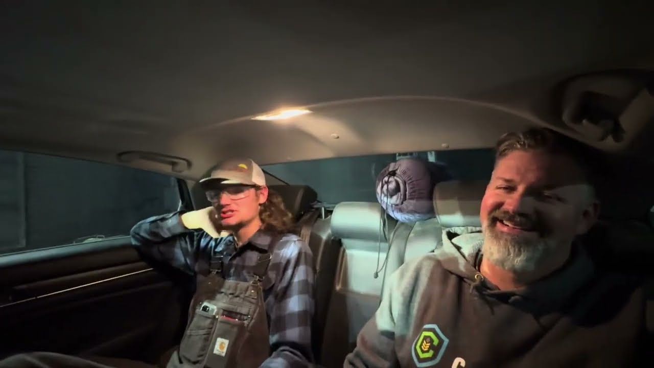 Белая кукуруза (принесет ли это прибыль?)