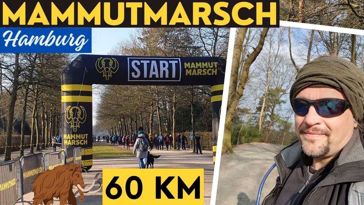 Mammutmarsch Hamburg 60 km | 2024 | Extremwandern, die Erste