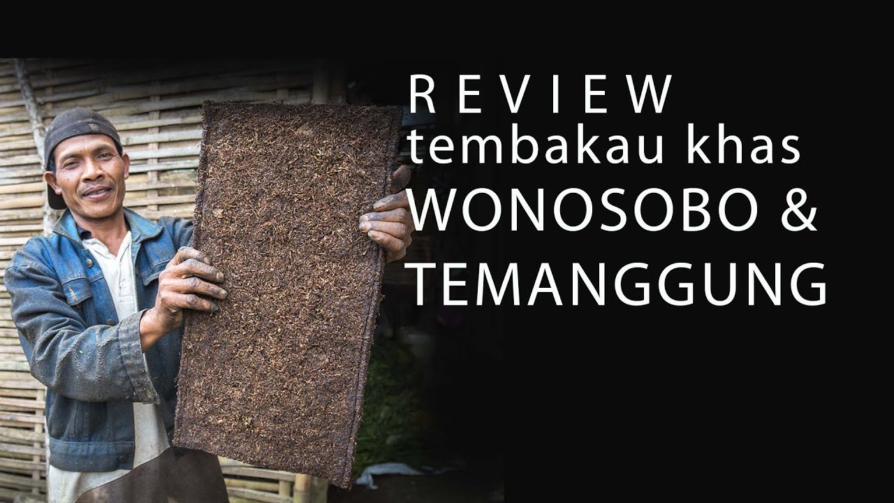 TEMBAKAU KHAS WONOSOBO & TEMANGGUNG (REVIEW)