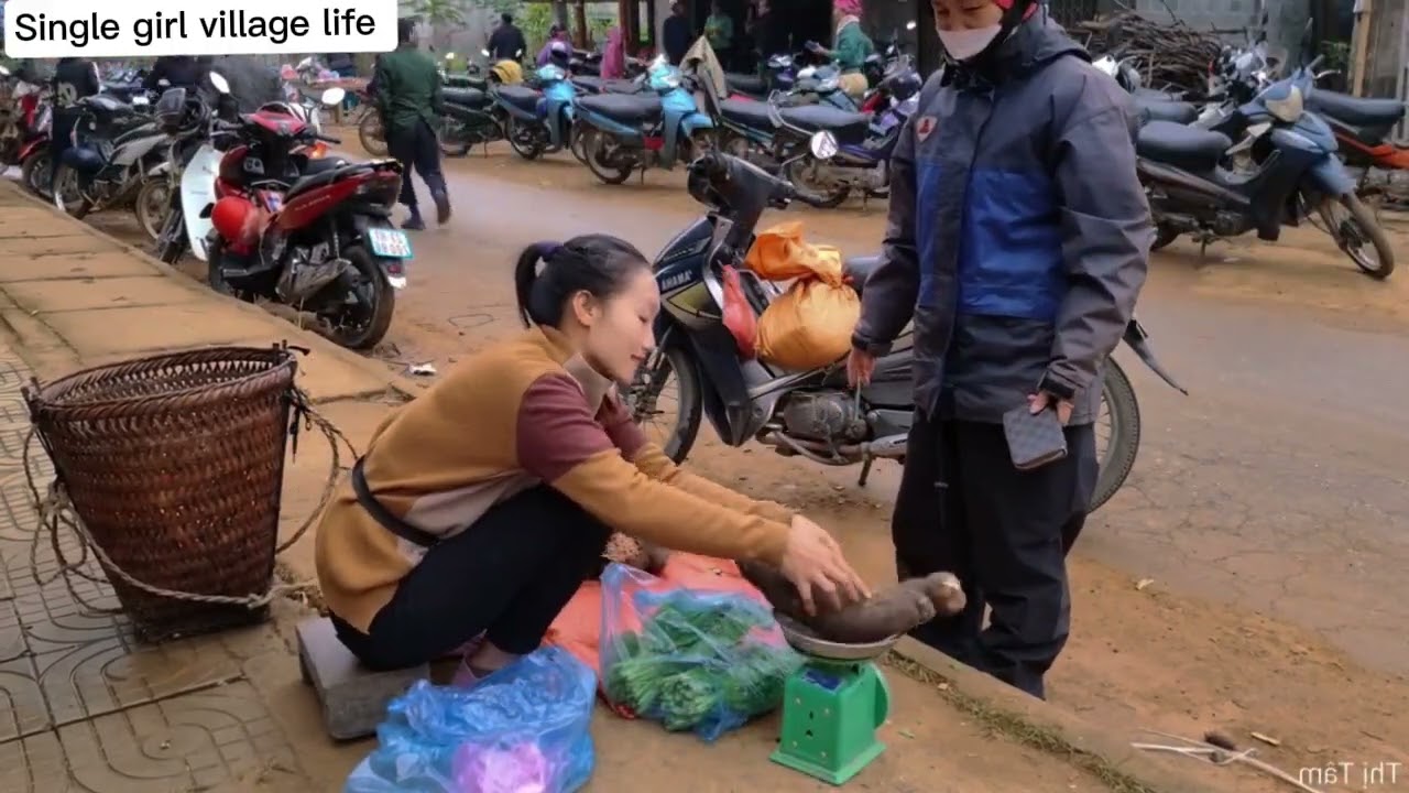 Daily Harvest Routine | single girl Goes to Sell