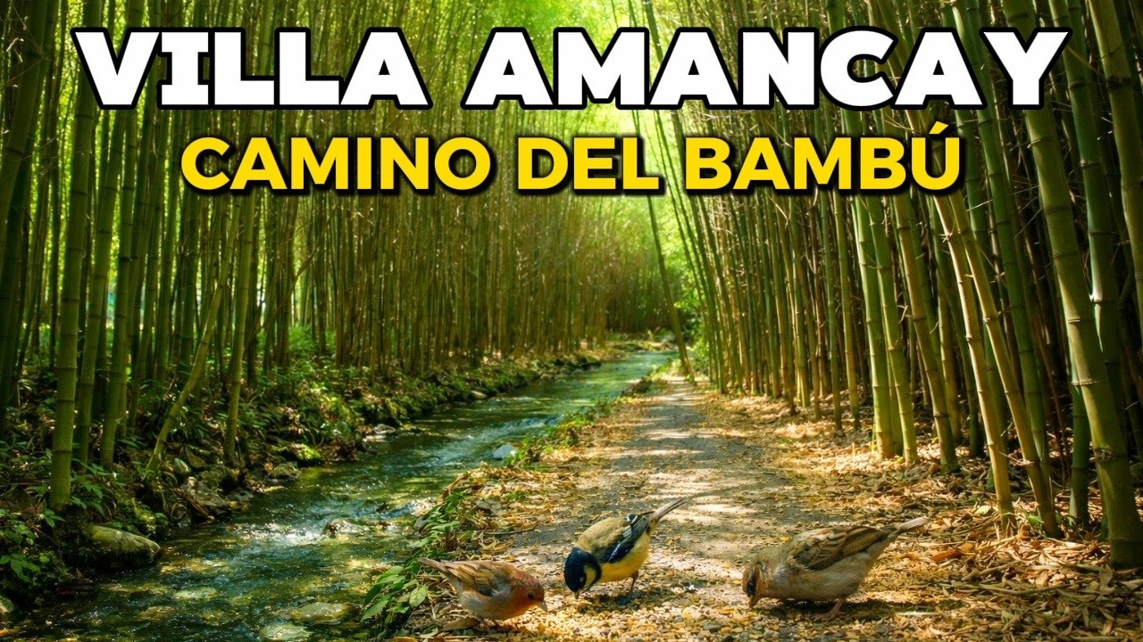 【4K】El Paraíso Oculto de Calamuchita, VILLA AMANCAY - CÓRDOBA 🌄 Camino del Bambú