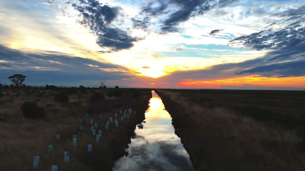 Altona Sunrise