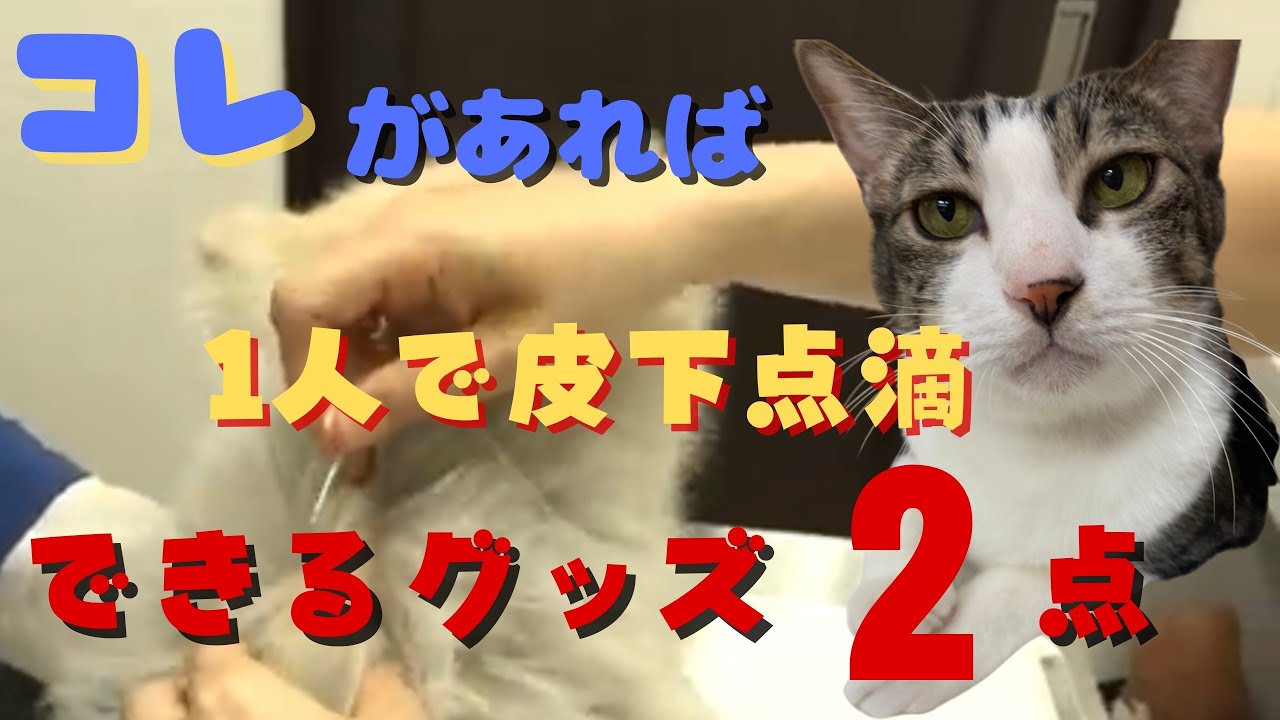 コレさえあれば一人で皮下点滴ができる！！グッズ2点のご紹介