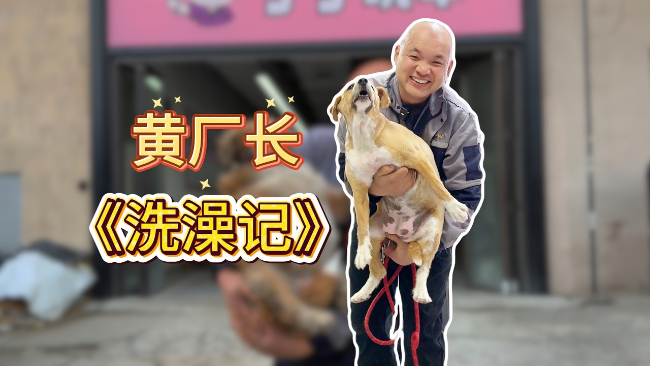 又到年底了，给我们“黄厂长”好好美个容