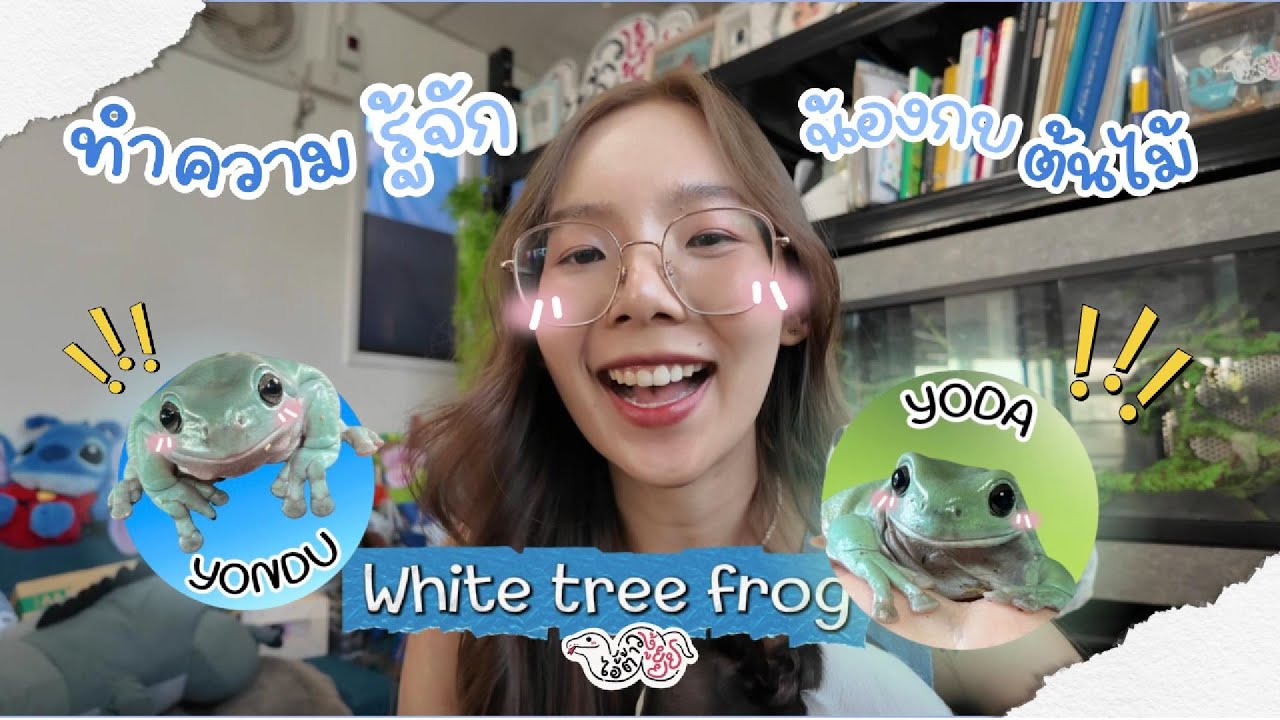 Get to know the White tree frog!!