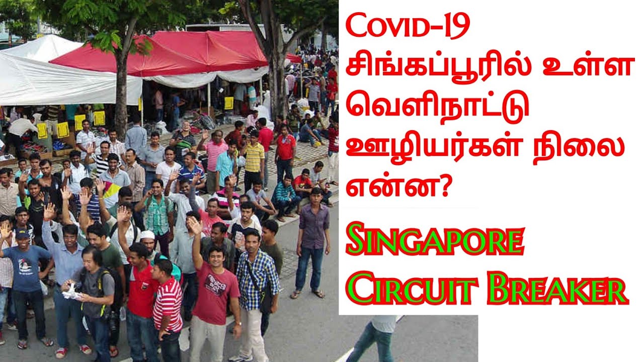 சிங்கப்பூர் முடக்கப்பட்டுள்ளதா? வெளிநாட்டு ஊழியர்களின்  நிலை என்ன? | Singapore Tamizhan | Tamil