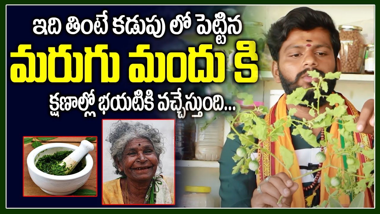 ఇది తింటే కడుపుకి పెట్టిన మరుగు మందు క్షణాల్లో బయటికి రప్పిస్తుంది | maralla mandu virugudu