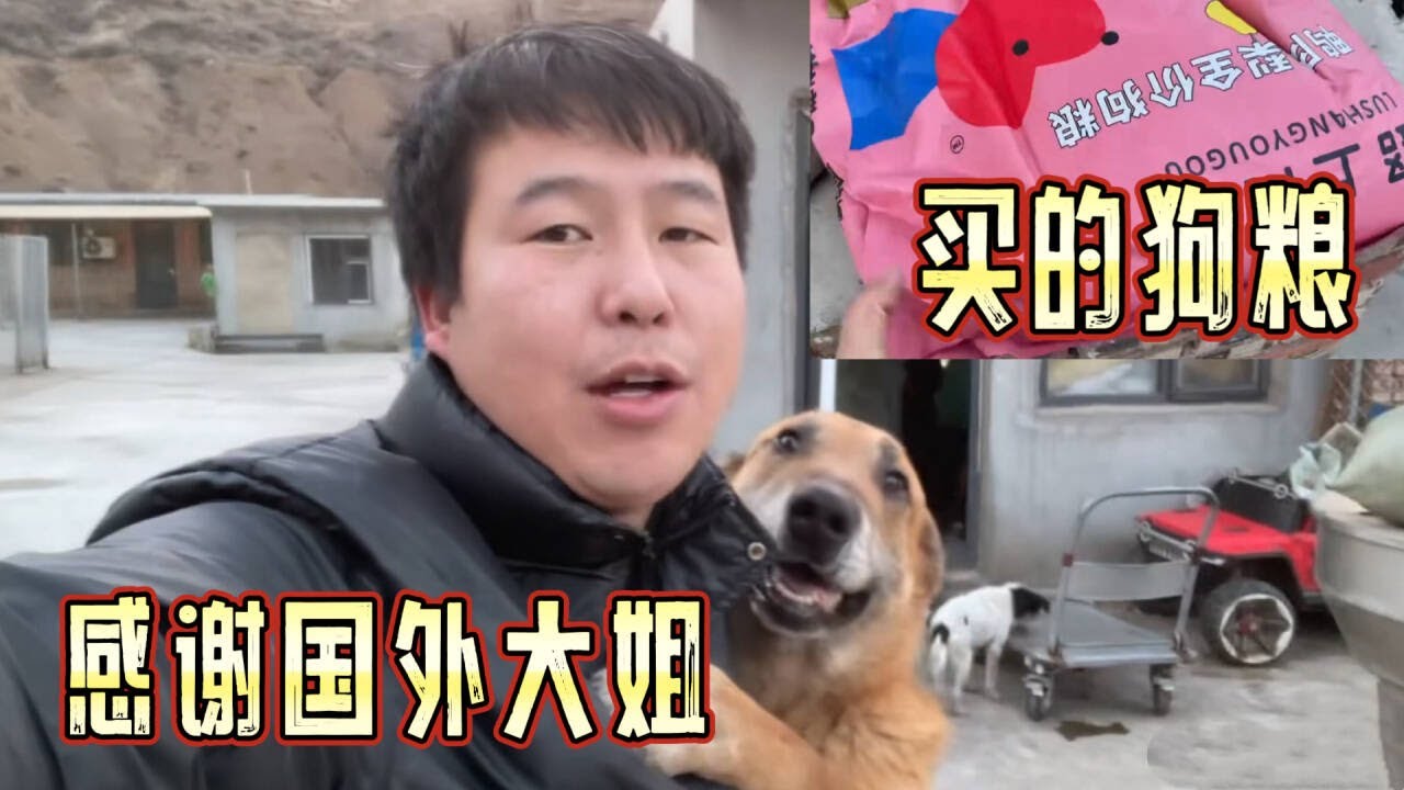 2026-2-1 Stray dog home 感谢国外的大姐给狗狗买的狗粮，已经收到了狗狗们看到后很开心。